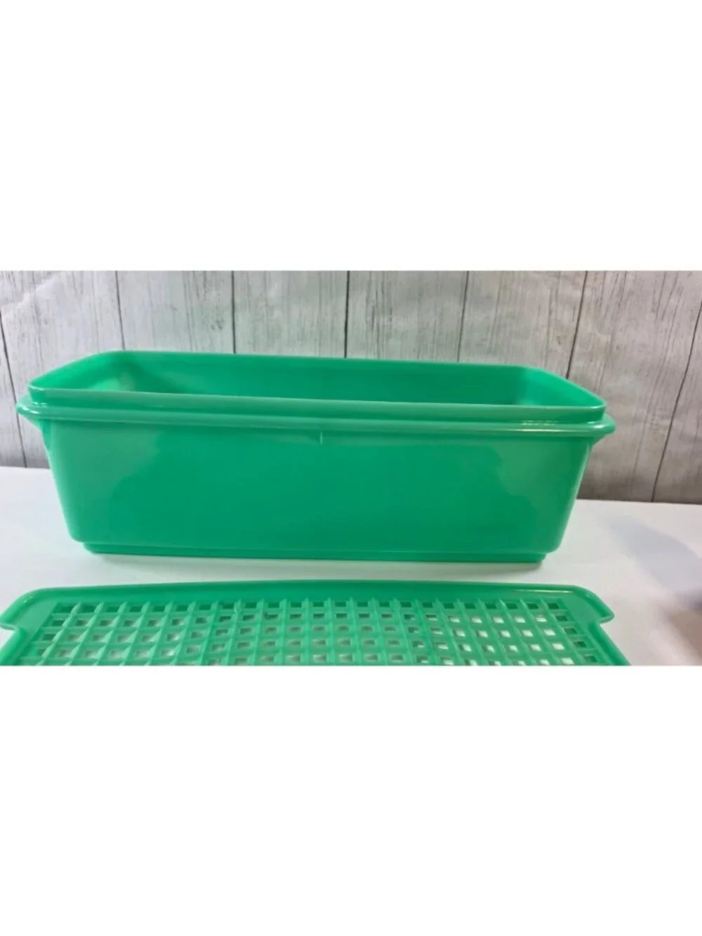 VINTAGE GREEN TUPPERWARE CELERY VEGETABLE KEEPER 3 PC 782 VEGGIE SEAL LID